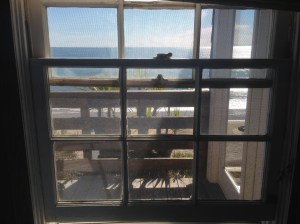 The view from my dorm room.