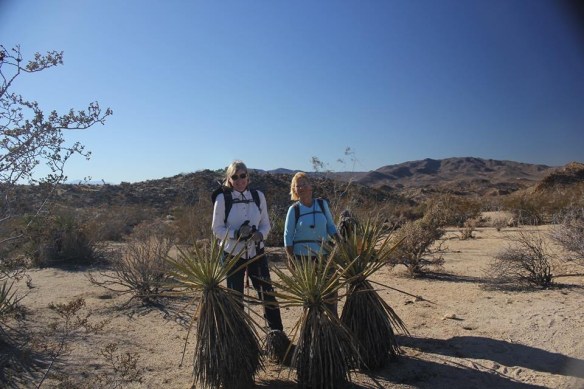 12295510_10153466040531107_5565237341134779558_n